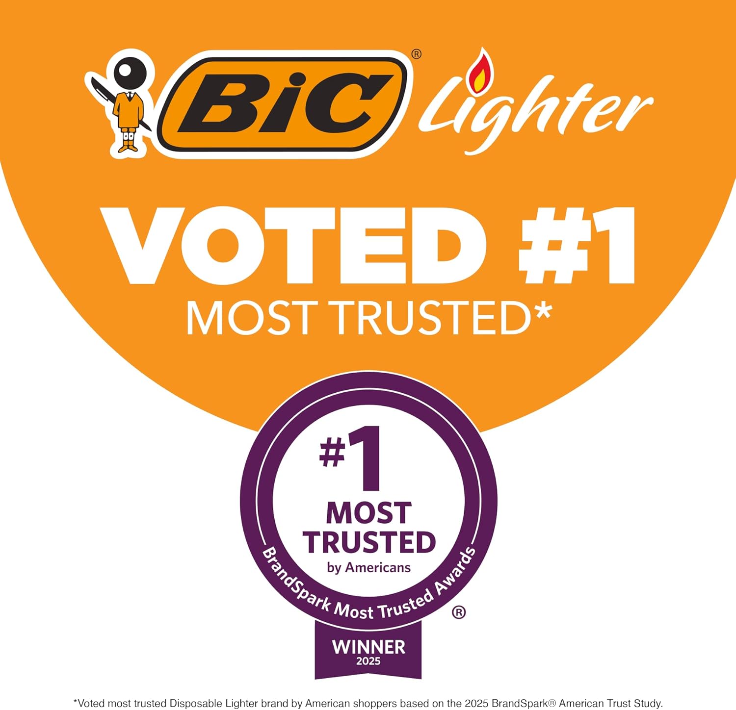 BIC Classic Lighters, Pocket Style, Safe Child-Resistant, Assorted Colors (packaging may vary), 5-Count (Pack of 3) - Image 3